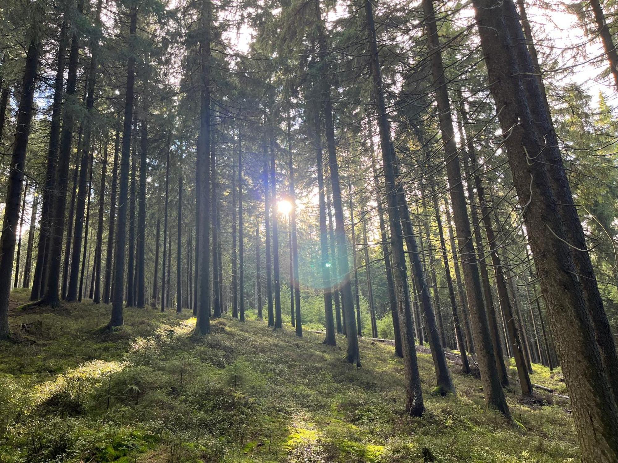 Roubenky Hřebečná Vila Exterior foto